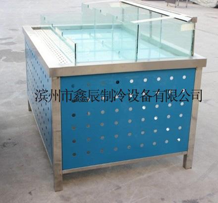 山東鑫辰海鮮貝類臺,爬行類貝類池,水產品展示臺,山東鑫辰海鮮貝類臺,爬行類貝類池,水產品展示臺生產廠家,山東鑫辰海鮮貝類臺,爬行類貝類池,水產品展示臺價格